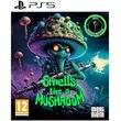 smells like a mushroom 100 vegan edition photo