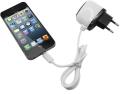 eaxus travel charger for iphone 5 ipad extra photo 2