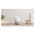 google home white extra photo 4