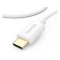 kalodio fortisis hama usb c usb c 201590 extra photo 3
