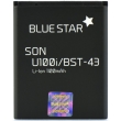 blue star battery for sony ericsson u100 yari j10 j10i2 elm hazel 1100mah li ion photo