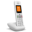 gigaset e390 white photo gigaset e390 white photo