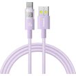 baseus display 2 100w 5a usb a to type c cable 2m purple photo
