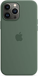 apple iphone 13 pro max silicone case with magsafe eucalyptus photo