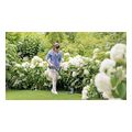 xlookoptiko mesinezas mpatarias bosch easy grasscut 18 230 2ah extra photo 2