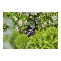 gardena karfi stirixis 46mm 3 16 15tmx 13218 20 extra photo 2