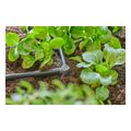 gardena micro drip system syndesmos gonias l 46mm 3 16 10tmx 13212 20 extra photo 3 gardena micro drip system syndesmos gonias l 46mm 3 16 10tmx 13212 20 extra photo 3
