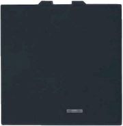 geyer diakoptis aplos me endeiktiki lyxnia 2 theseon mayros 10ax 250v interio photo