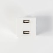 eurolamp priza 2 x usb modules leyki photo