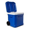 psygeio forito igloo profile 60 roller 41684 mple extra photo 4