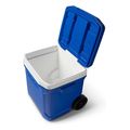 psygeio forito igloo profile 60 roller 41684 mple extra photo 5