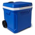 psygeio forito igloo profile 60 roller 41684 mple extra photo 6