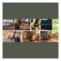 bluetti portable solar panel 120w pv120 extra photo 1