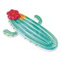 stroma thalassis intex cactus float extra photo 1