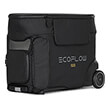 ecoflow delta pro bag photo
