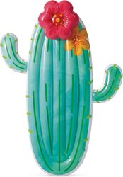 stroma thalassis intex cactus float photo
