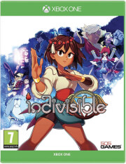indivisible photo