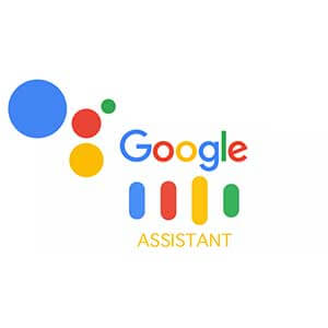   Google Now     Google Assistant